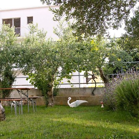 Pepi Apartments 2 Zadar Bagian luar foto